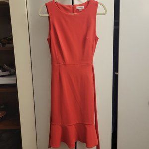 Calvin clain dress